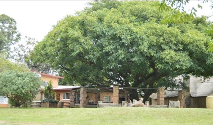 Anna Boeremeisie Guesthouse Benoni Ruang foto